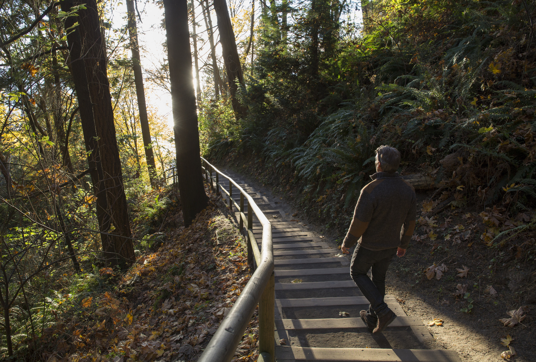 Man walks down steps through forest and into the sunlight